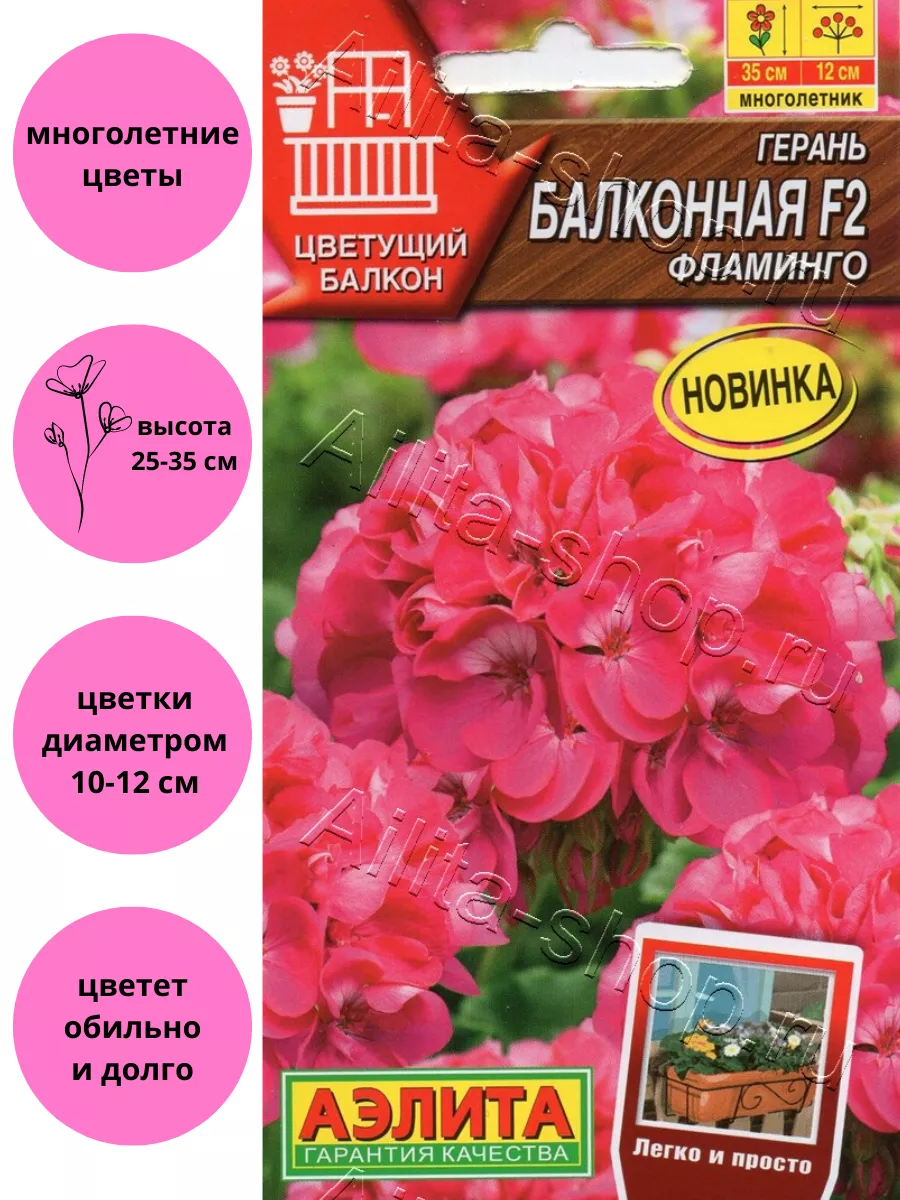 Герань Балконная фламинго F2 Агрофирма Аэлита 175036351 купить за 140 ₽ в  интернет-магазине Wildberries