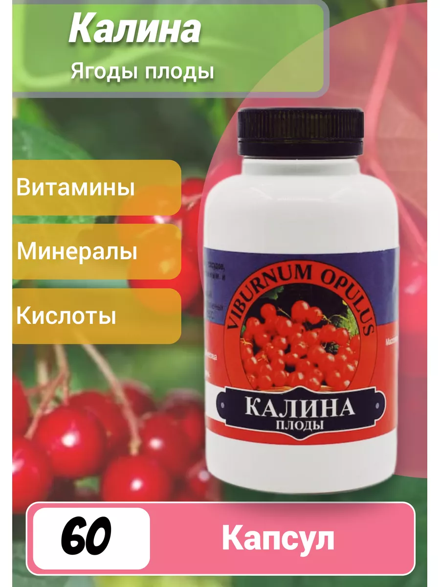 Калина плоды - укрепляет сердечную мышцу и стенки сосудов