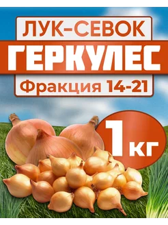 Лук севок для посадки Геркулес 1кг Лук-Севок 175083489 купить за 455 ₽ в интернет-магазине Wildberries