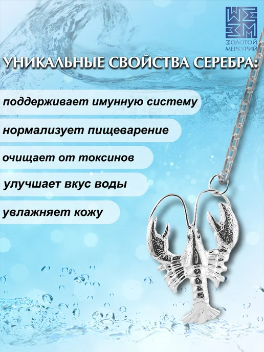Золотой Меркурий Ионизатор воды серебро 925 Рак, серебристый, фото 4