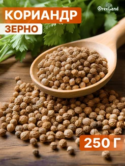 Кориандр зерно 250 г OREXLAND 175130006 купить за 134 ₽ в интернет-магазине Wildberries