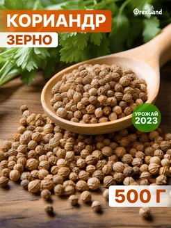 Кориандр зерно 500 г OREXLAND 175130007 купить за 155 ₽ в интернет-магазине Wildberries