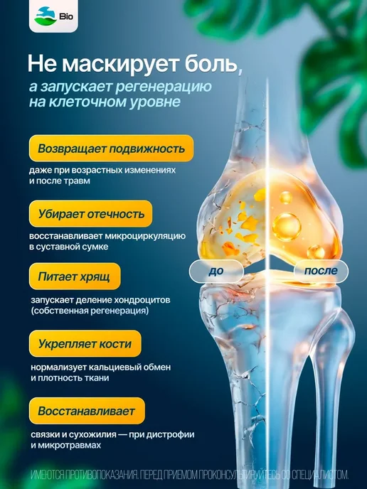 BIOSFERA. Коллаген для суставов от боли в коленях капсулы Flexanit, вариант, фото 2