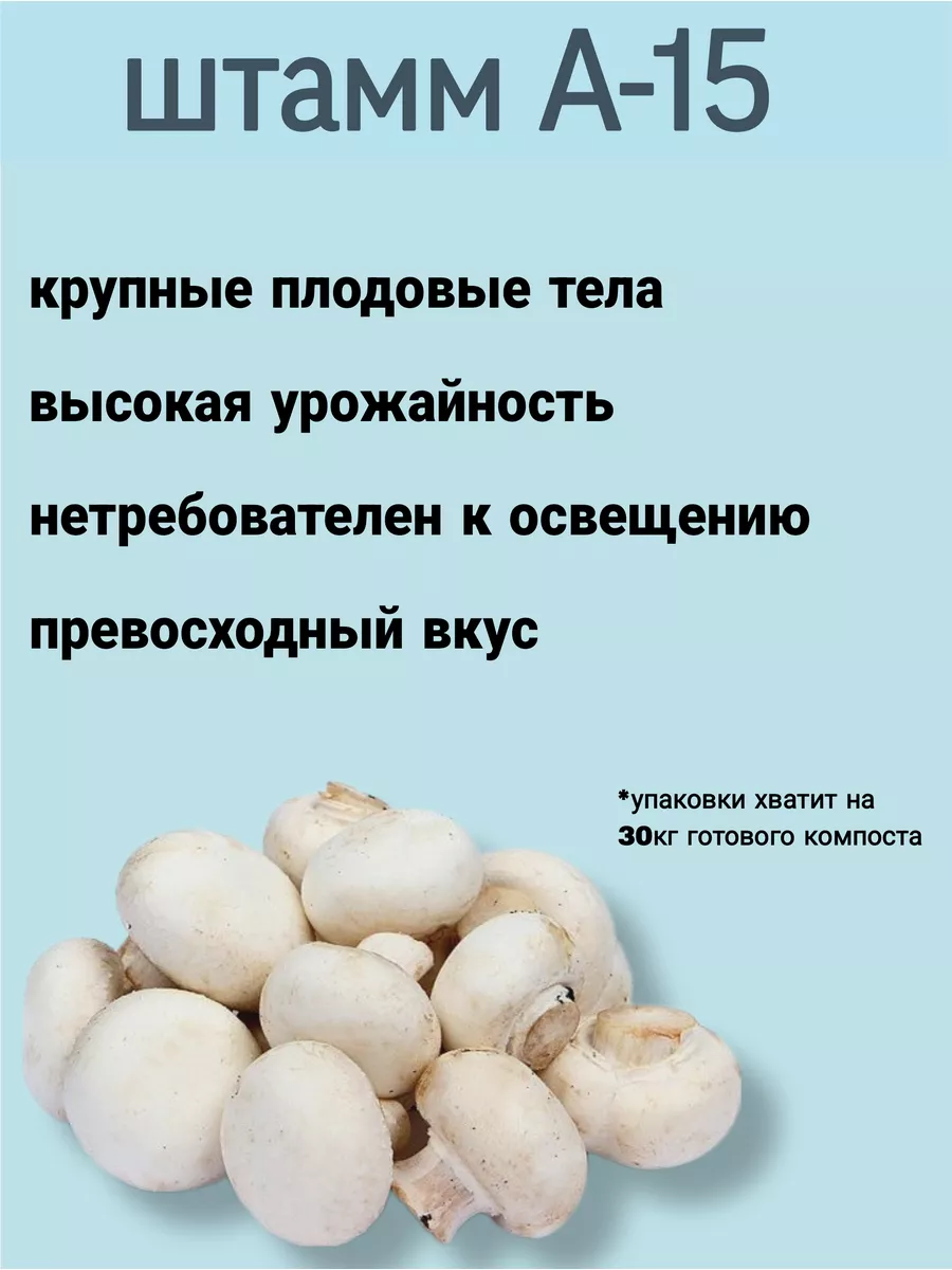 Зерновой мицелий грибов для выращивания шампиньон белый VeshenkaGrib  175187733 купить за 240 ₽ в интернет-магазине Wildberries