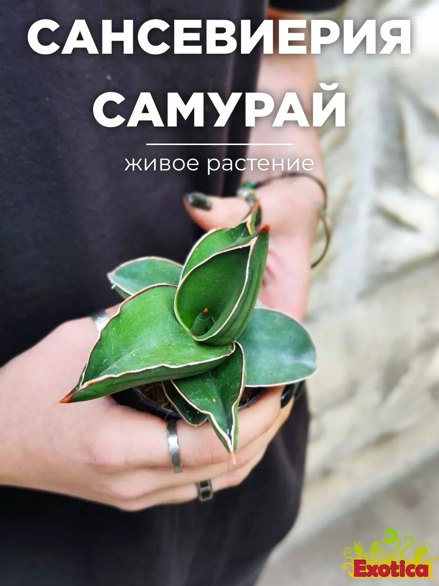 Фильмы про самураев