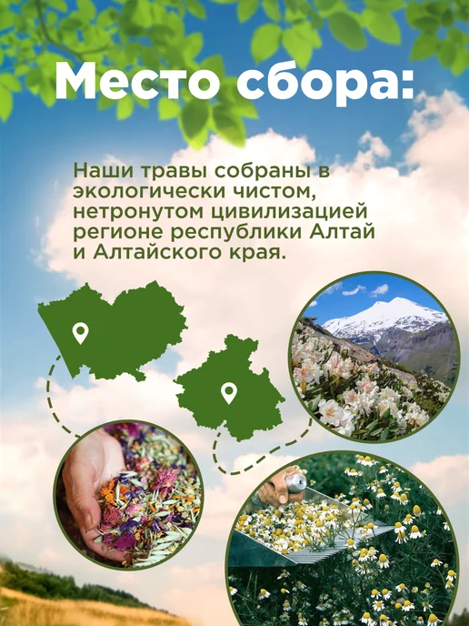 Родные травы Аир болотный корень измельченный, вариант, фото 2