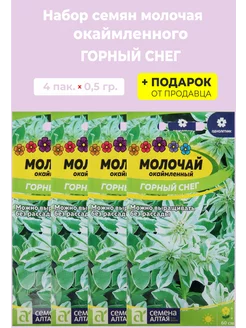 Семена Молочай "Горный снег" Гавриш 175359134 купить за 268 ₽ в интернет-магазине Wildberries