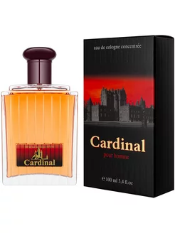 CARDINAL Кардинал муж. одек. 100 мл Parfums Eternel 175360901 купить за 342 ₽ в интернет-магазине Wildberries