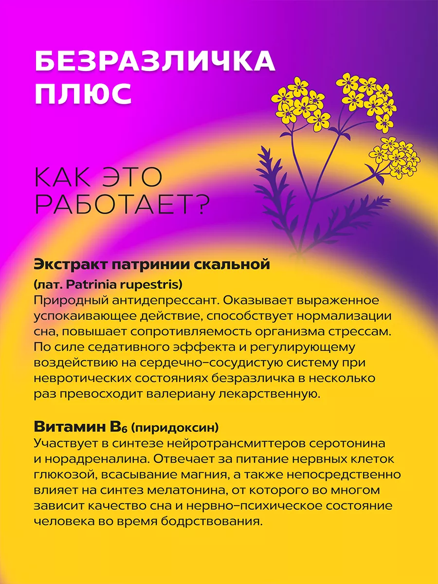 Успокоительное от стресса Безразличка с витамином В6 АЛТАЙСКИЙ НЕКТАР  175373314 купить за 512 ₽ в интернет-магазине Wildberries