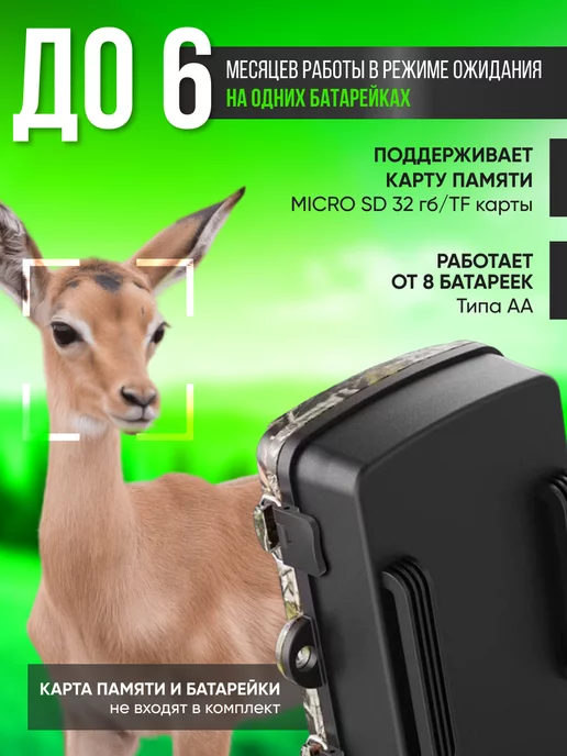 Otlika4estvo Фотоловушка для охоты и охраны, вариант, фото 3