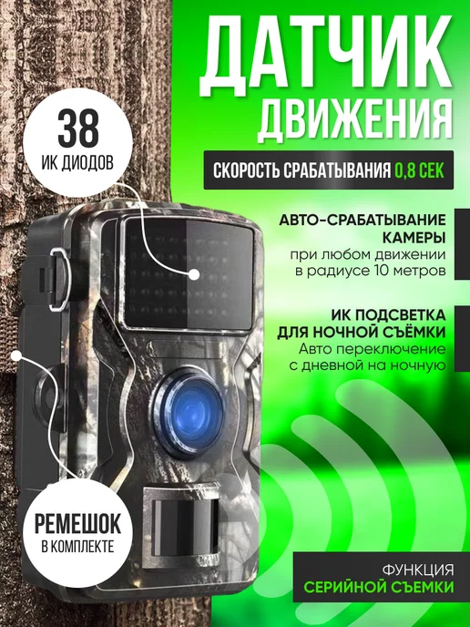 Otlika4estvo Фотоловушка для охоты и охраны, вариант, фото 4