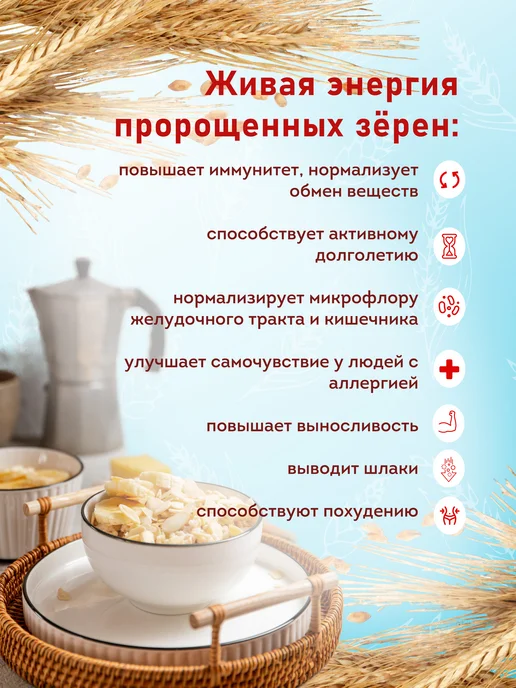 Актирман Талкан из пророщенного зерна 5 злаков, вариант, фото 4