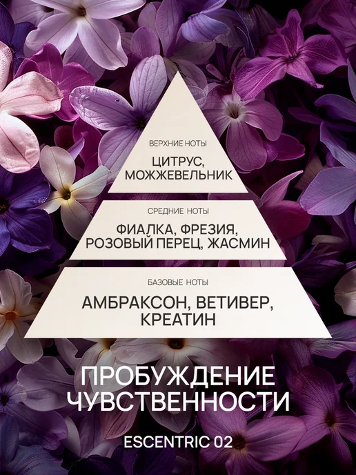 Aromance Набор Гель для душа+Шампунь парфюмированные Escentric 02, 1 л, фото 2