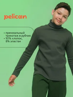 Водолазка для мальчиков в рубчик PELICAN 175447906 купить за 1 091 ₽ в интернет-магазине Wildberries