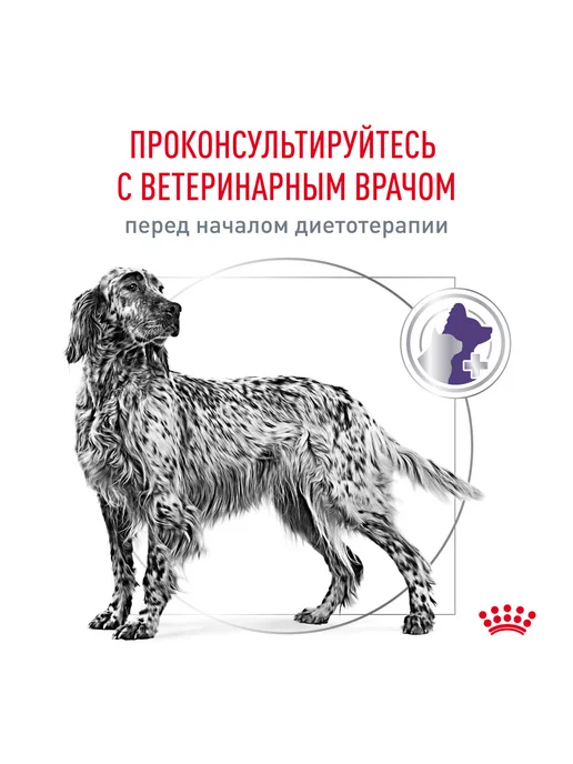 Сухой корм Royal canin для собак, средние, стерилизованные, 3,5 кг, фото 7