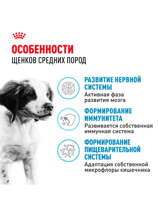 Сухой корм Royal canin для собак, средние, щенки, 3 кг, фото 2
