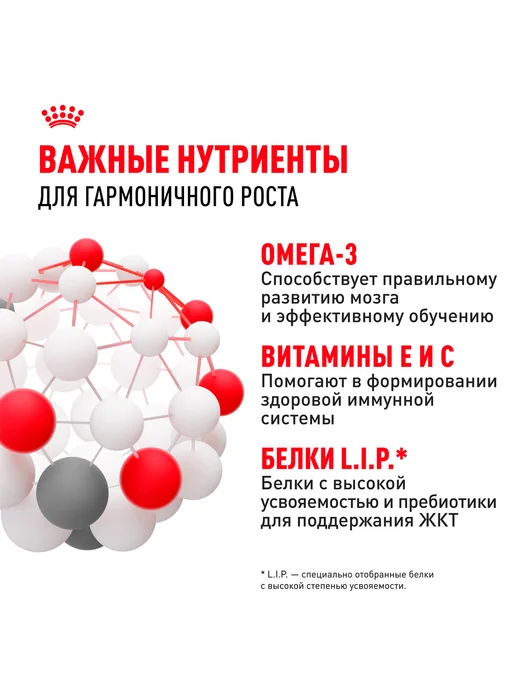 Сухой корм Royal canin для собак, средние, щенки, 3 кг, фото 5