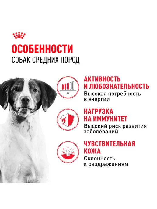 Сухой корм Royal canin для собак, взрослые, средние, 3 кг, фото 2