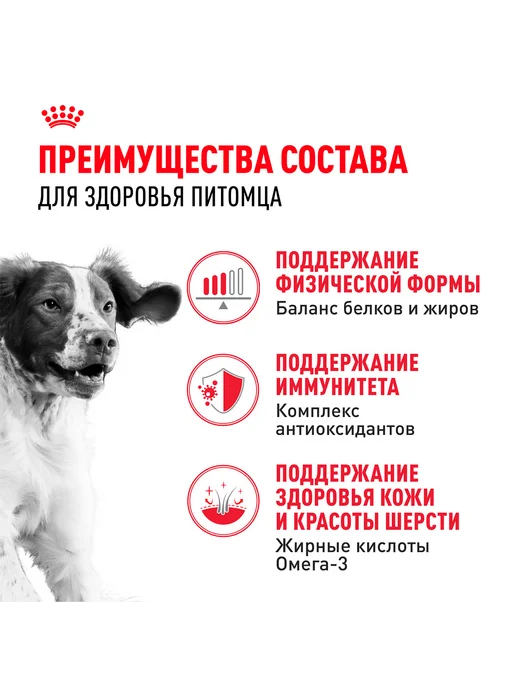 Сухой корм Royal canin для собак, взрослые, средние, 3 кг, фото 3