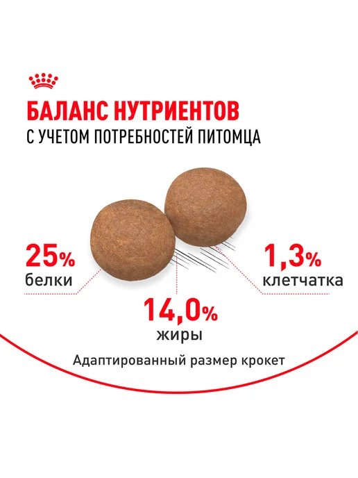 Сухой корм Royal canin для собак, взрослые, средние, 3 кг, фото 4