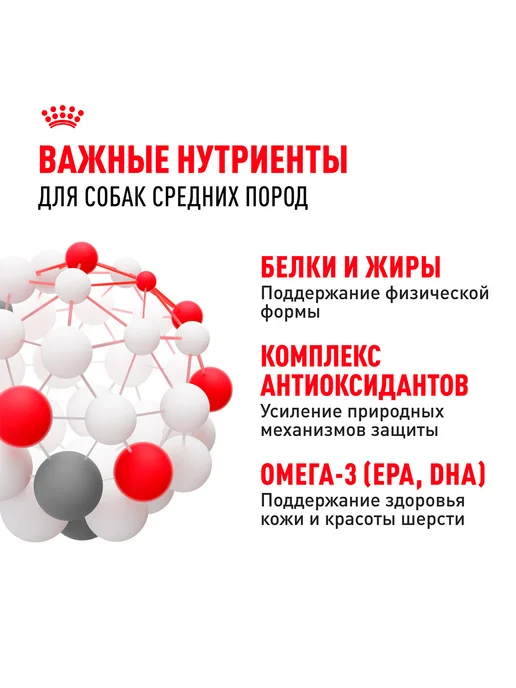 Сухой корм Royal canin для собак, взрослые, средние, 3 кг, фото 5