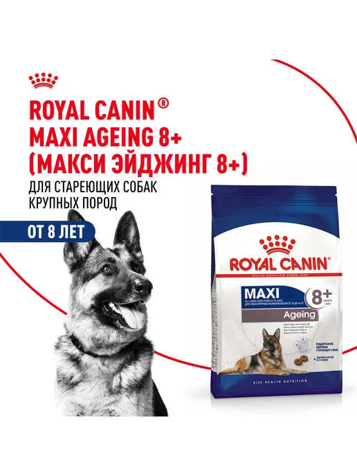 Сухой корм Royal canin Ageing для собак, крупные, пожилые, 3 кг, фото 2