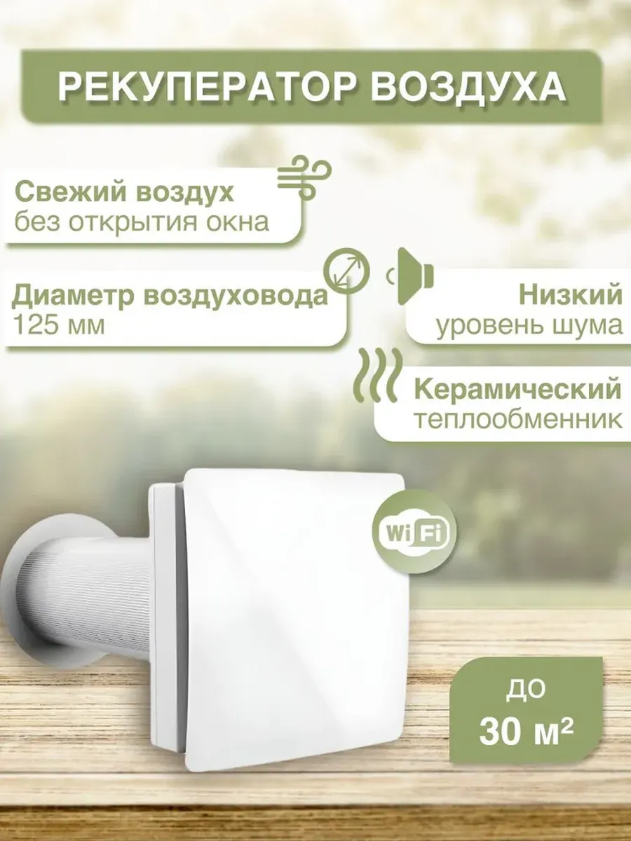 Приточно-вытяжная установка Blauvent EXPERT 125