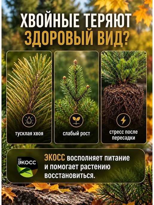 экосс Удобрение для хвойных туи жидкое осень 330 мл, 330 мл, фото 2