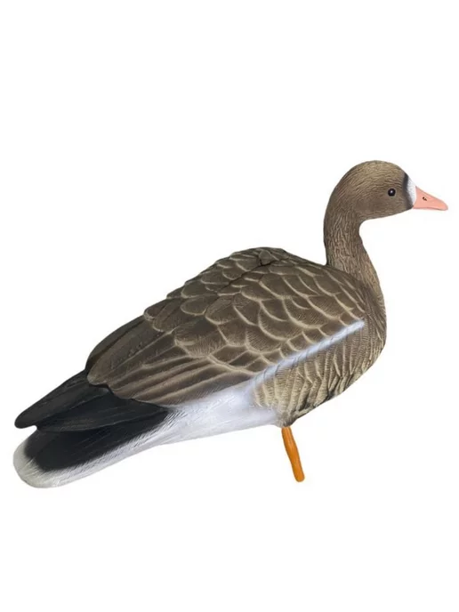 oscar decoys Чучело гуся белолобого для охоты плавающий (new), вариант, фото 2