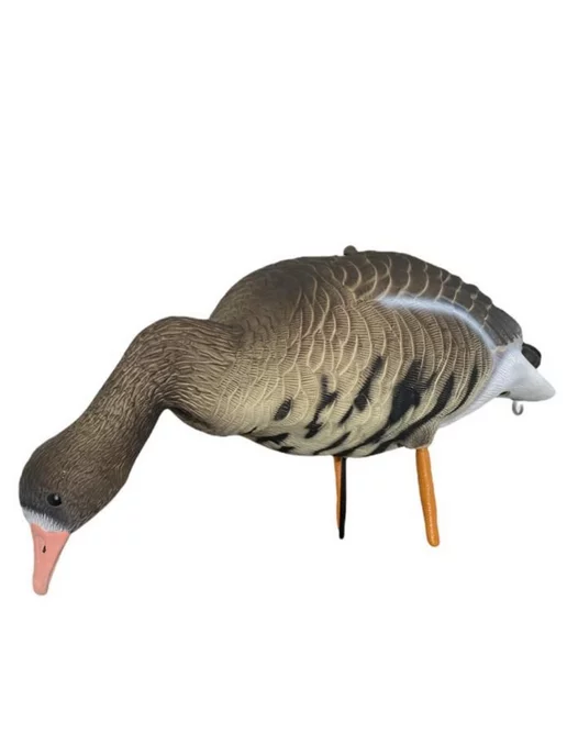 oscar decoys Чучело гуся белолобого для охоты плавающий (new), вариант, фото 5
