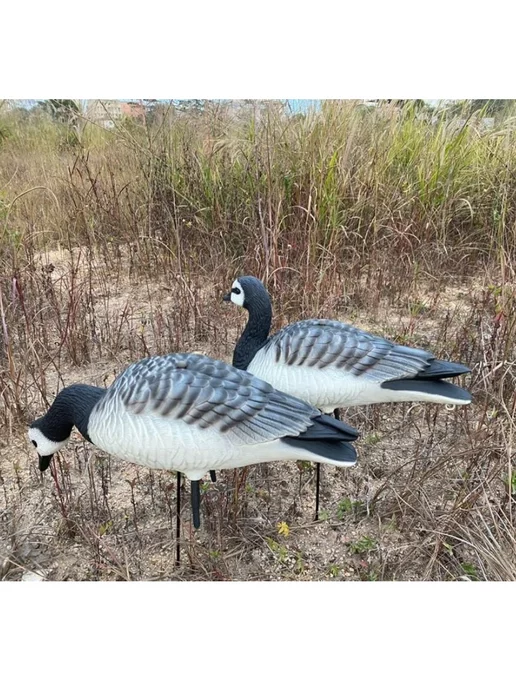 oscar decoys Чучело гуся для охоты, 5 шт, фото 4