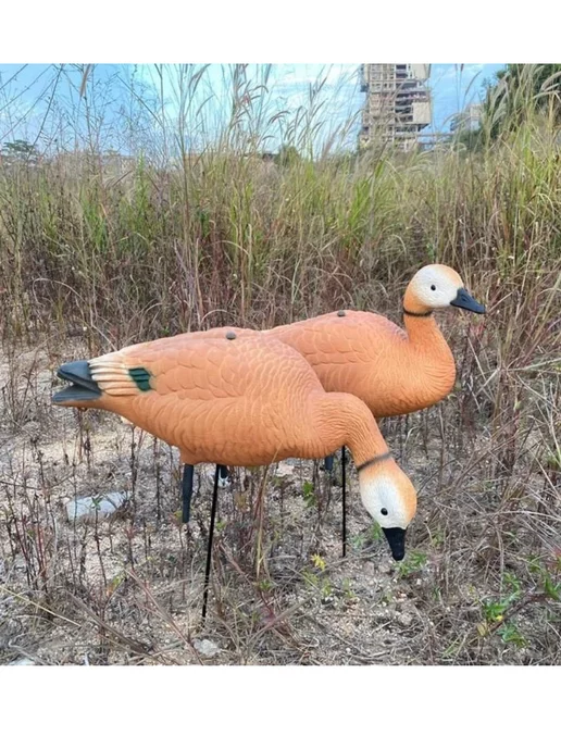 oscar decoys Чучело утки огарь для охоты, 5 шт, фото 2