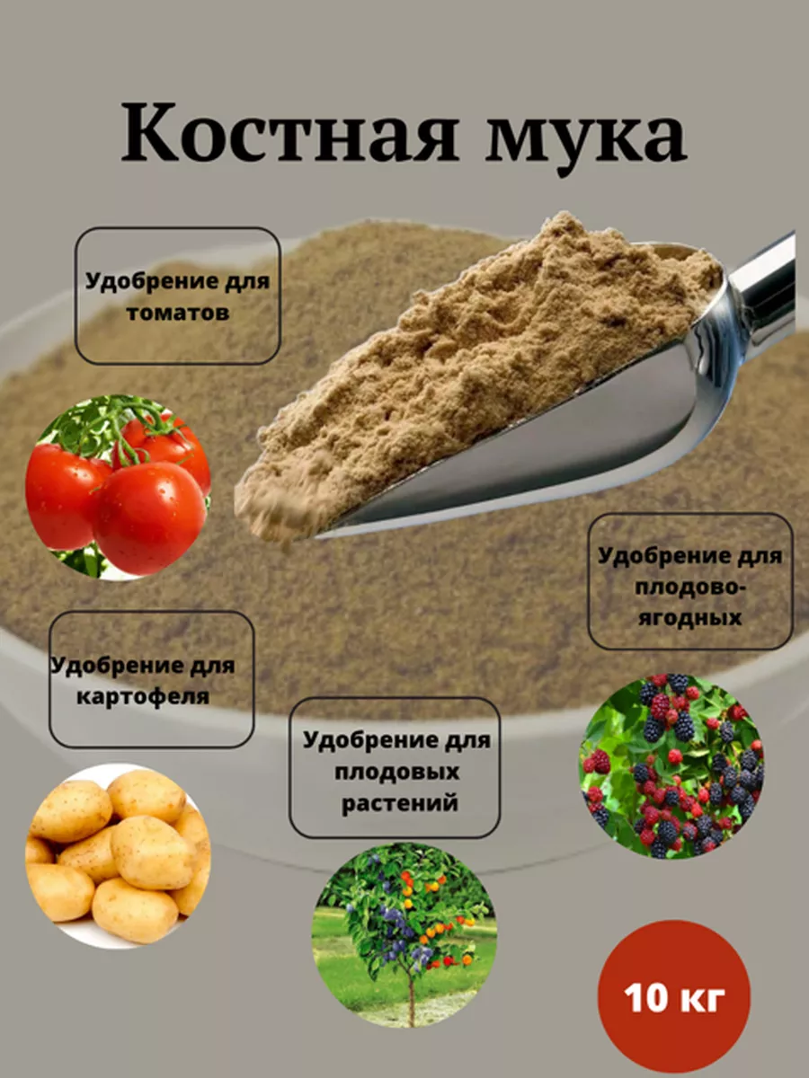 Рецепты из кабана