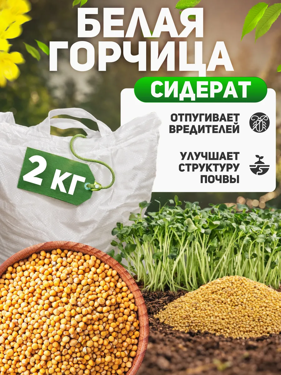 горчица белая семена сидерат 2 кг