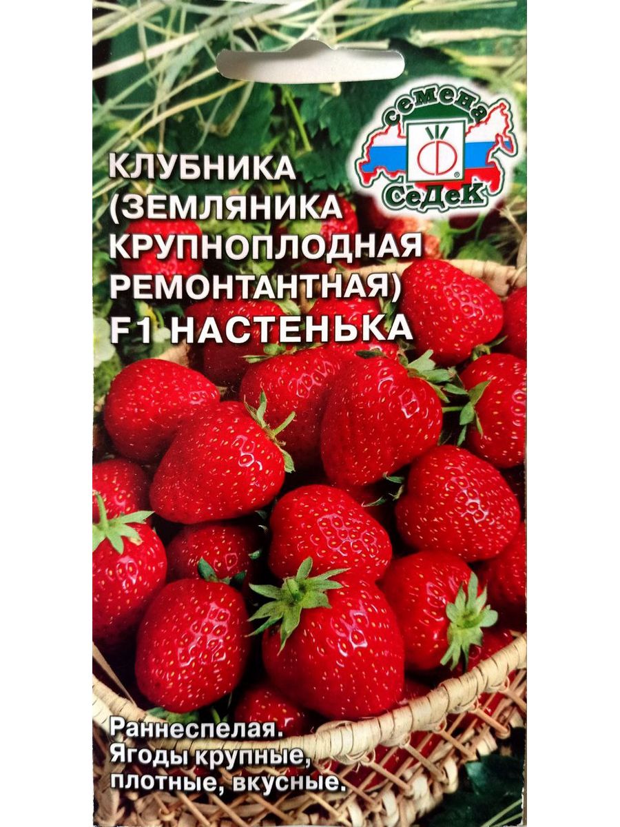 Клубника настенька. Земляника Садовая Индука. Земляника ремонтантная крупноплодная семена. Земляника Флориан.