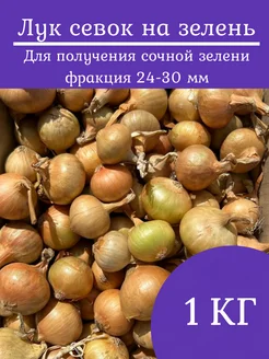 Лук севок на зелень лучок-пучок 175579578 купить за 226 ₽ в интернет-магазине Wildberries