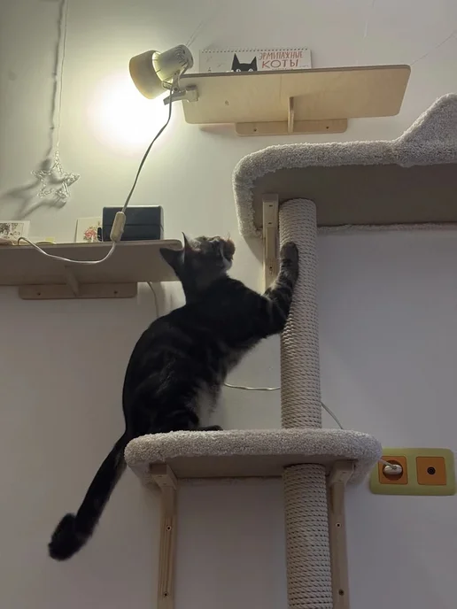 Моя Котя Когтеточка для кошки, белый, фото 8