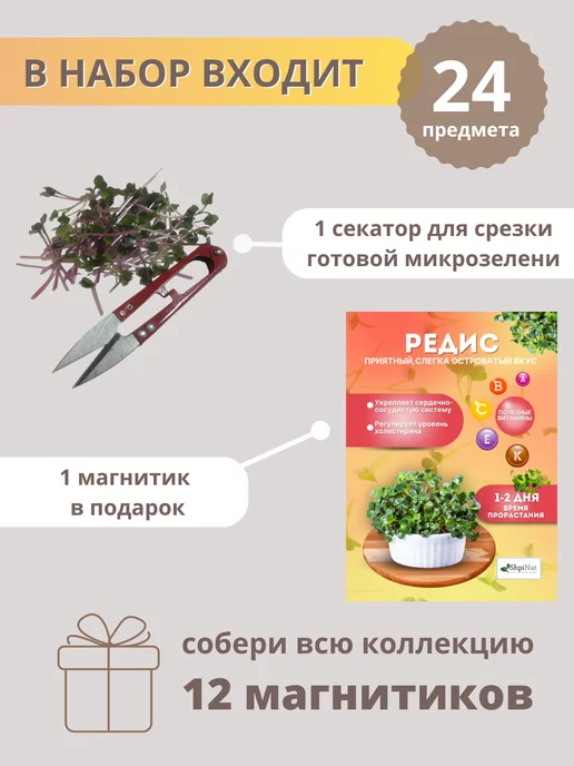 ShpiNat выращивай дома Микрозелень набор семена для проращивания, вариант, фото 6