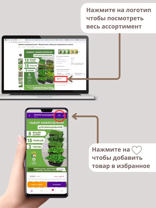 ShpiNat выращивай дома Микрозелень набор семена для проращивания, вариант, фото 8