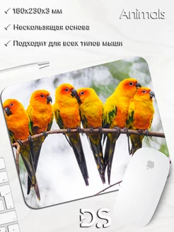 Коврик для мыши попугай фотография птицы подарок DiamondMousePad 175631746 купить за 303 ₽ в интернет-магазине Wildberries