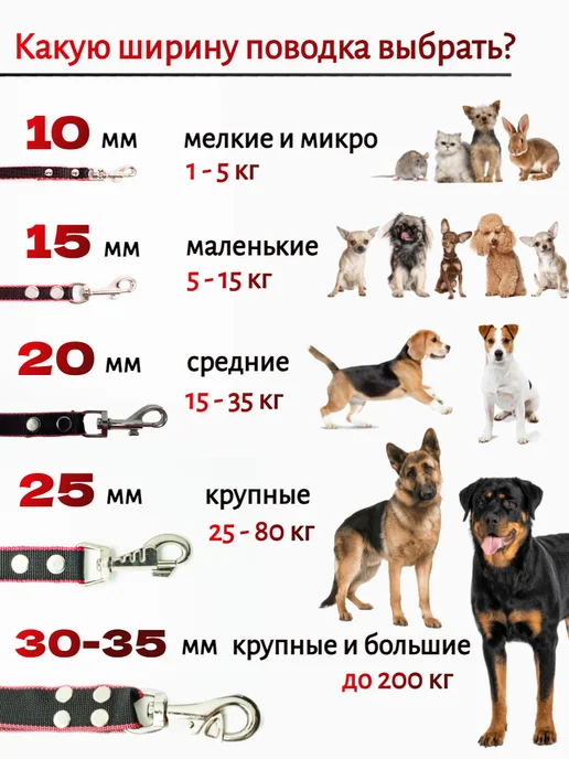 Хвостатыч Поводок для собак нейлон 5 м х 10 мм (фиолетовый), 1 м, фото 4