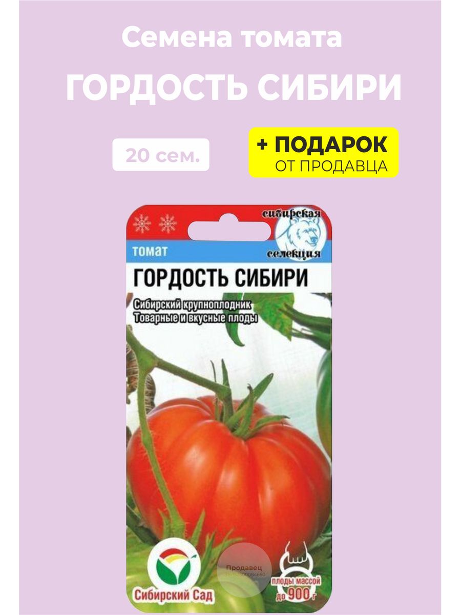 Томат гордость сибири фото описание. Томат гордость Сибири. Помидоры гордость застолья. Томат гордость Сибири фото.