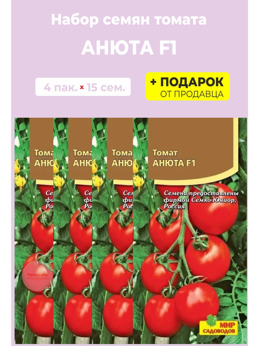 Семена томат анюта. Томат Анюта. Помидоры Анюта фото. Томат Анюта характеристика и описание f1. Томат Анюта отзывы.