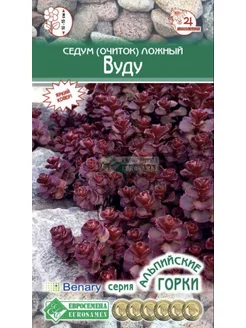 Седум (очиток) ложный «Вуду» Стильные цветы 175724069 купить за 166 ₽ в интернет-магазине Wildberries