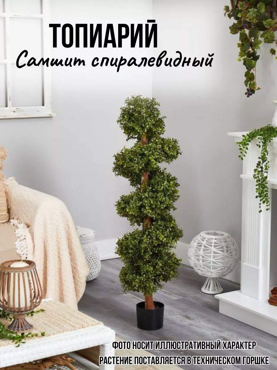 Искусственное растение Спиралевидный Самшит Merry Bear Home Decor 175725277  купить в интернет-магазине Wildberries