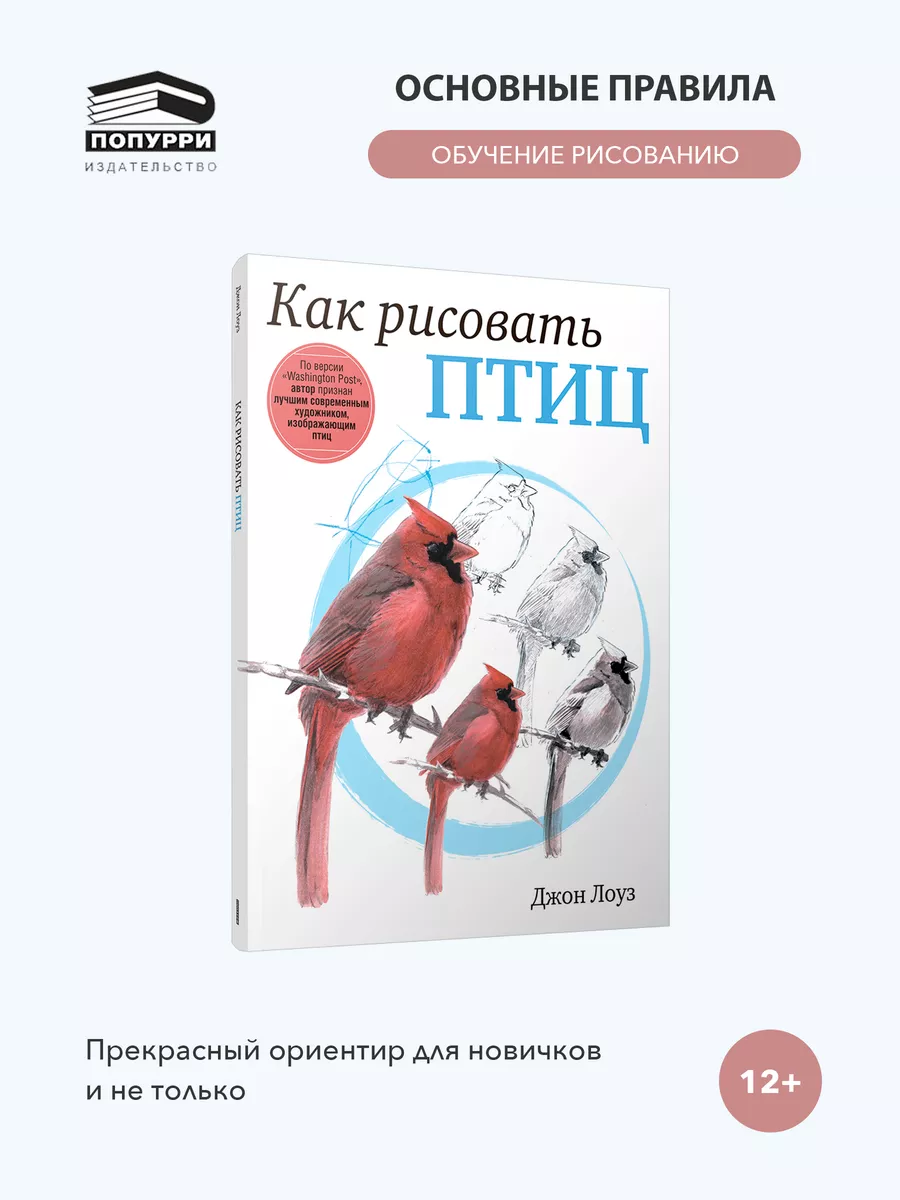 Как рисовать птиц карандашом 35+ уроков