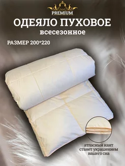 Пуховое одеяло 2 спальное Люкс евро 200х220 Djuma Tex Home 175787262 купить за 9 911 ₽ в интернет-магазине Wildberries