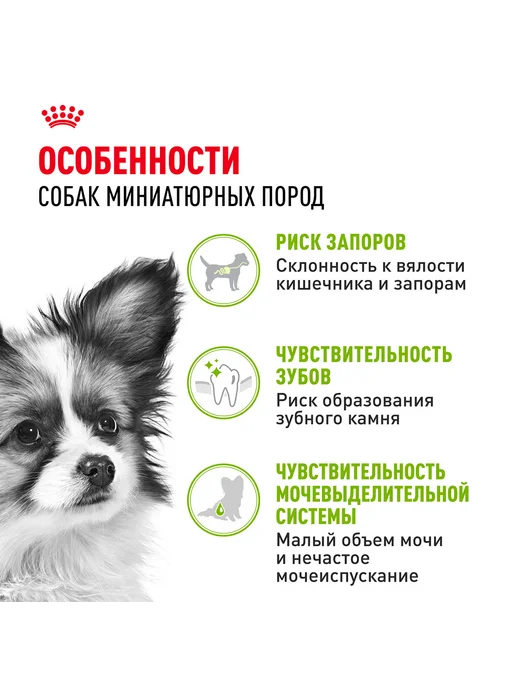 Сухой корм Royal canin Икс Смолл для собак, взрослые, мелкие, 3 кг, фото 3