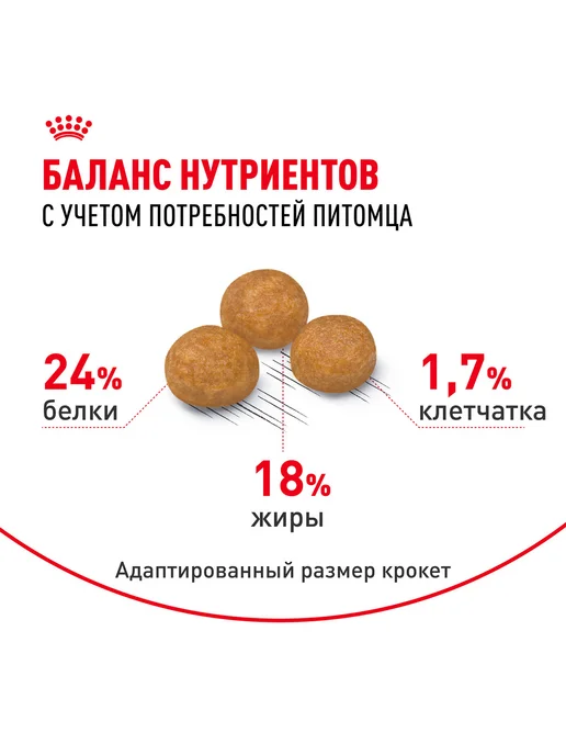 Сухой корм Royal canin Икс Смолл для собак, взрослые, мелкие, 3 кг, фото 5