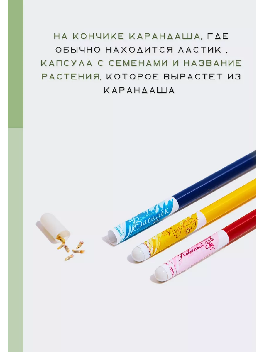 Карандаш простой с семенами цветов 5шт. ECO подарки 175881456 купить за 803  ₽ в интернет-магазине Wildberries